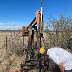 WhatsApp Image 2024-03-02 at 5.27.35 PM (1)