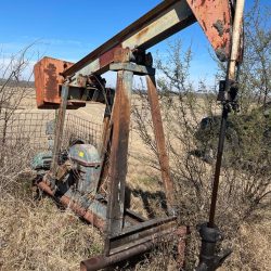 WhatsApp Image 2024-03-02 at 5.27.35 PM (2)